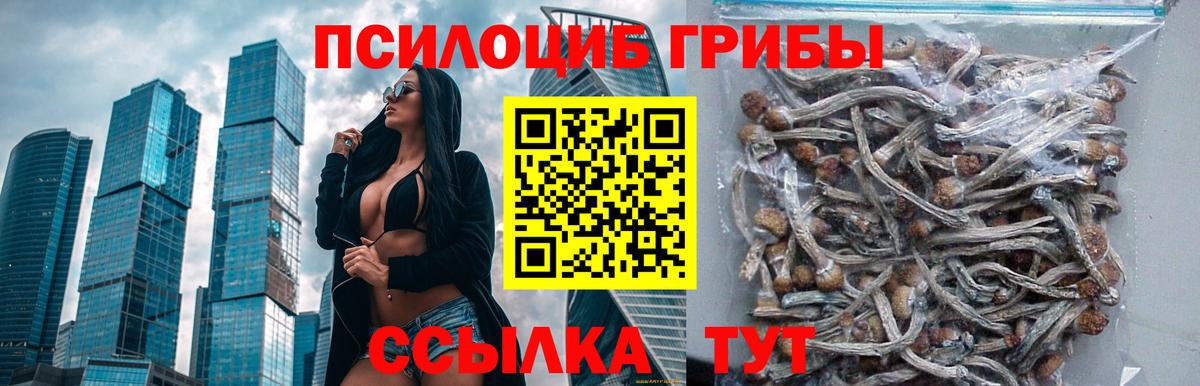 Кострома  Псилоцибиновые грибы GOLDEN TEACHER  Вход с VPN 